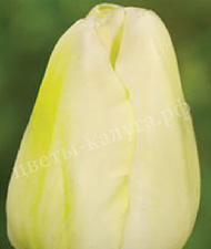 Malaysia